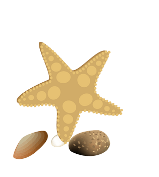 夏日沙滩图标素材