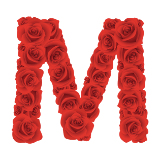 玫瑰花字母m