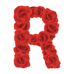 玫瑰花字母r