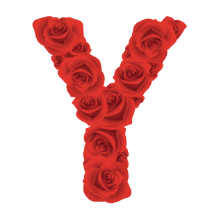 玫瑰花字母ypngpsd2000*2000卡通彩色时尚个性几何拼接英文字母ypng