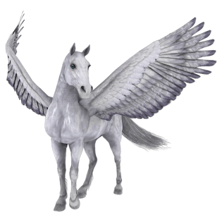 马素材图片大全