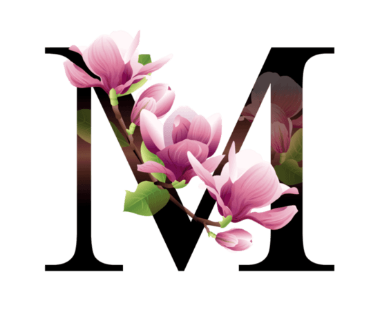 花瓣字母素材pngpsd2000*2000一揽芳华字体pngpsd2000*2000花瓣字母