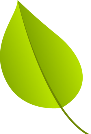 卡通柠檬叶图片素材pngpsd2000*2000春天精美绿色树叶pngpsd2000*2000