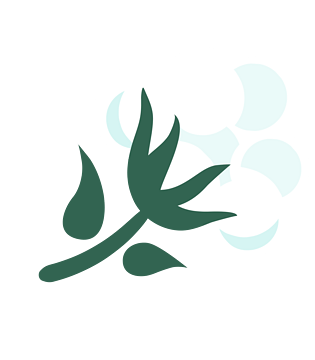 面料设计图片大全_面料设计图片素材【png免费下载】-90设计网