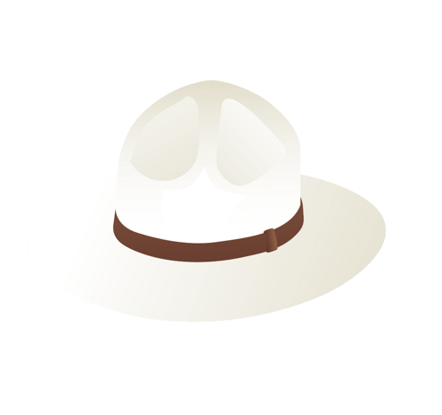 帽子白色图片大全