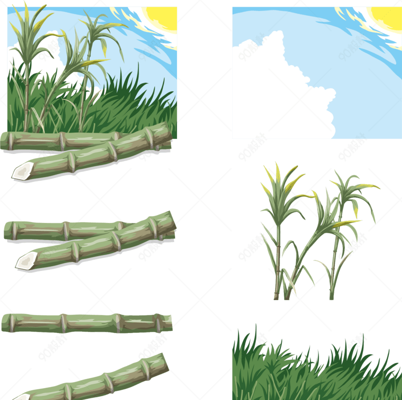 手绘甘蔗