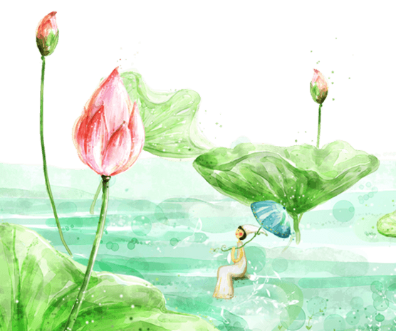 小清新荷花插画