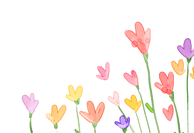 清新小花图片大全