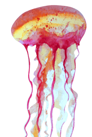 卡通水母图片大全