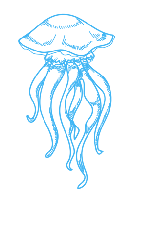 电脑端 手机端简笔画海母90设计是专业的电商设计网