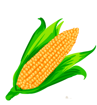 卡通玉米