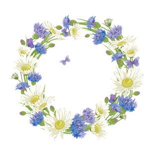 透明花边图片大全