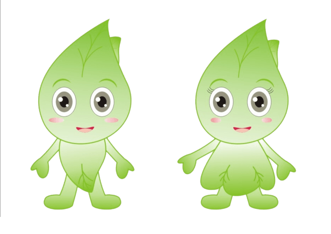 免费树叶图片大全