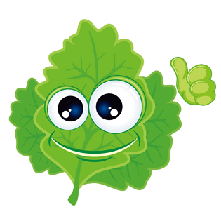 花卉装饰元素设计pngpsd2000*2000小清新手绘花环植物叶子花卉元素