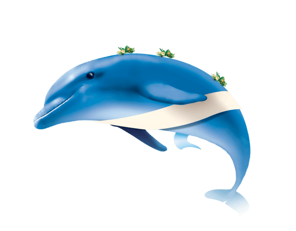 可爱海豚图片大全