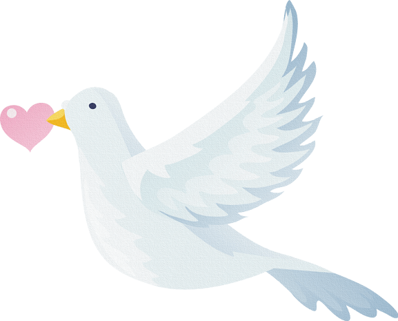 鸽子卡通图片大全