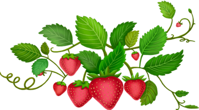 红色卡通草莓植物树叶