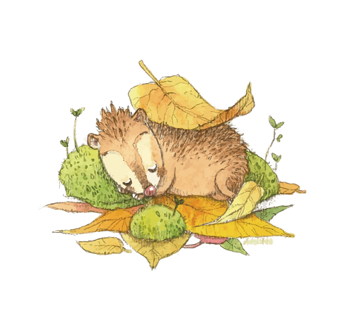 刺猬pngpsd2000*2000绿色花朵促销标签pngpsd2000*2000卡通柠檬叶图片