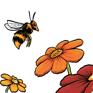 蜜蜂卡通花蜜图片