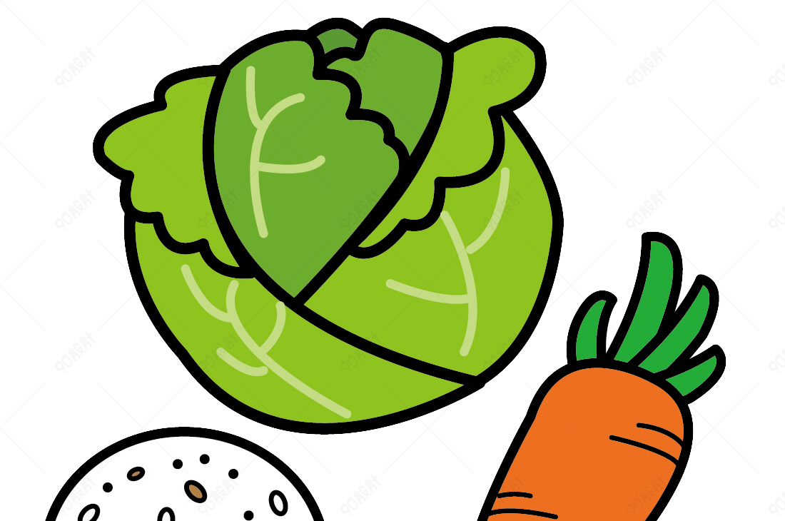 简笔卷心菜胡萝卜饭