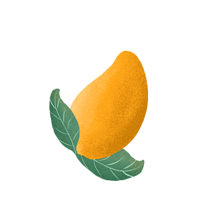 小清新水果之黄色美味芒果