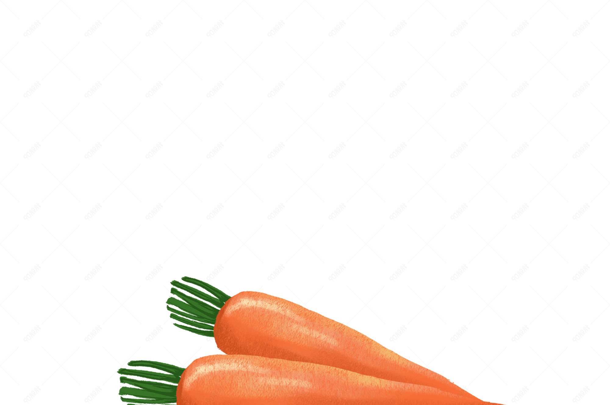 胡萝卜壁纸小清新图片