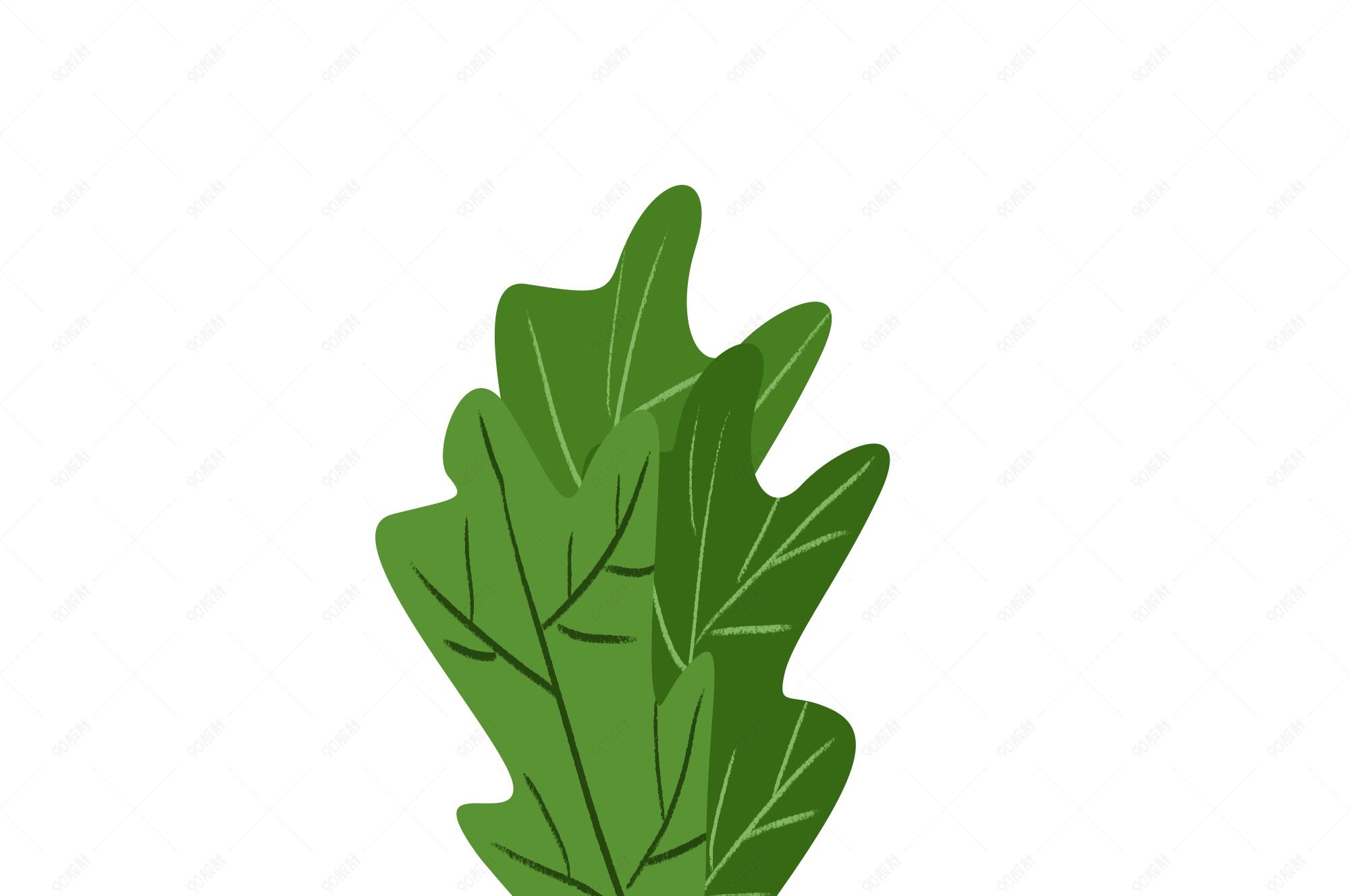 小清新唯美蔬菜之绿色青菜