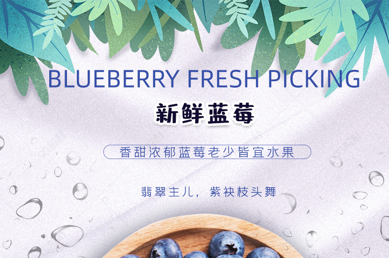 时尚小清新简约酸甜可口的水果蓝莓食品茶饮食品活动促销水果蓝莓无线端店铺装修描述页详情描述页面介绍