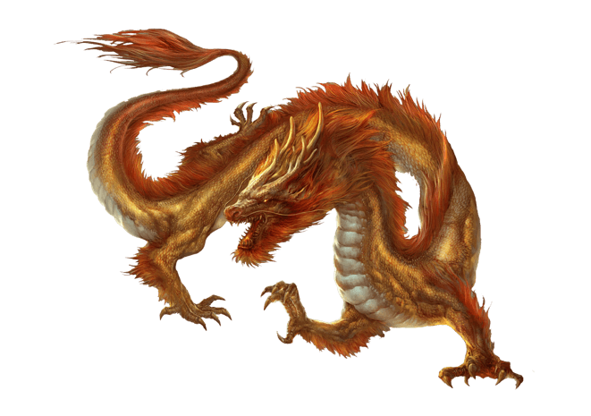 中国龙png图片大全_中国龙png图片素材【png免费下载】-90设计网