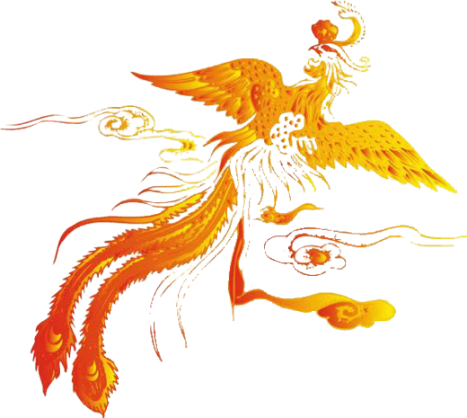 火凤凰图片大全