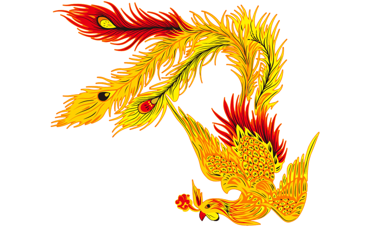 火凤凰图片大全