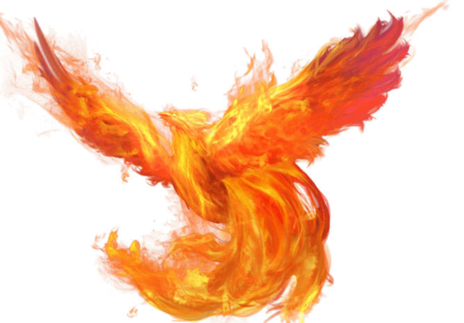 火凤凰图片大全_火凤凰图片素材【png免费下载】-90设计网