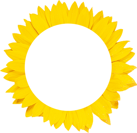 可爱卡通相框边框png免扣素材