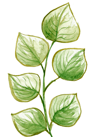 手绘水彩叶子装饰png元素