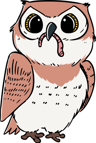 创意猫头鹰图片大全