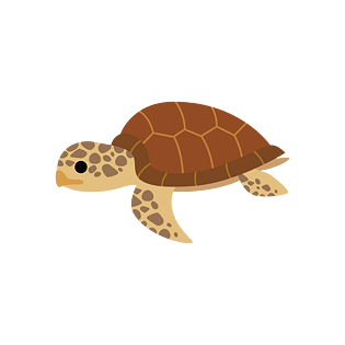 海龟卡通图片大全 海龟卡通图片素材 Png免费下载 90设计网