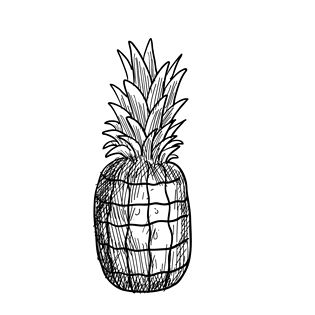 手绘水果黑白图片大全