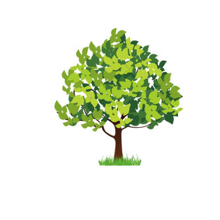 一棵植物图片大全