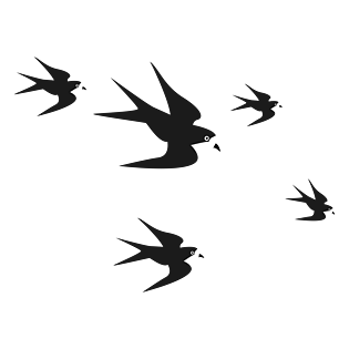 pngpsd2000*2000巴西丛林热带鸟类pngpsd2000*2000鸟类唯美手绘风可爱