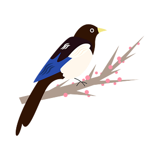 喜鹊花图片大全