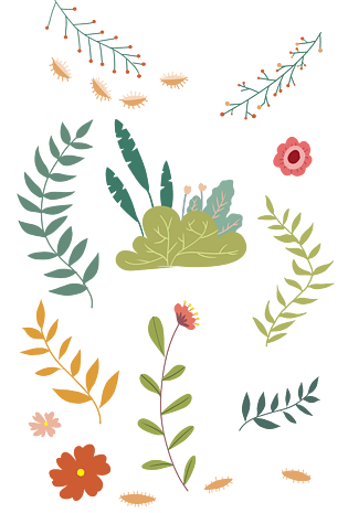 树叶 叶子森系花朵装饰花草手绘插画png