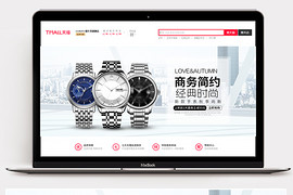 简约大气北美风时尚高端大气手表海报banner