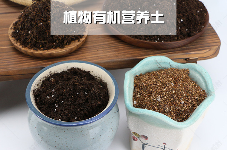 有机营养土清新植物多肉绿植详情