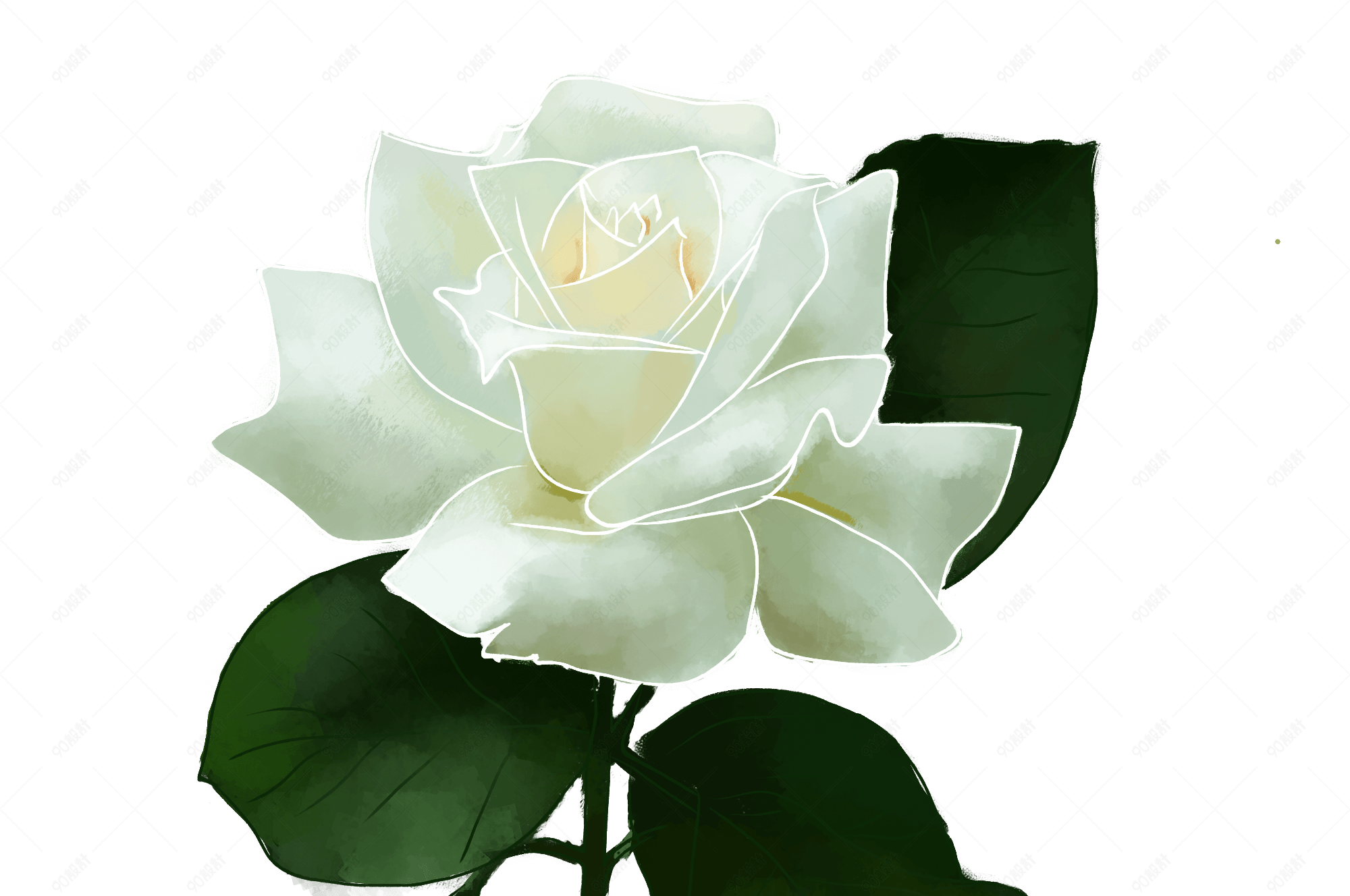 栀子花 白色 插画 春天 小元素