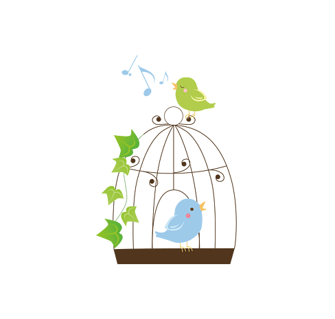 小鸟 png图片大全