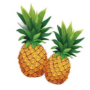 夏日矢量手绘菠萝凤梨素材