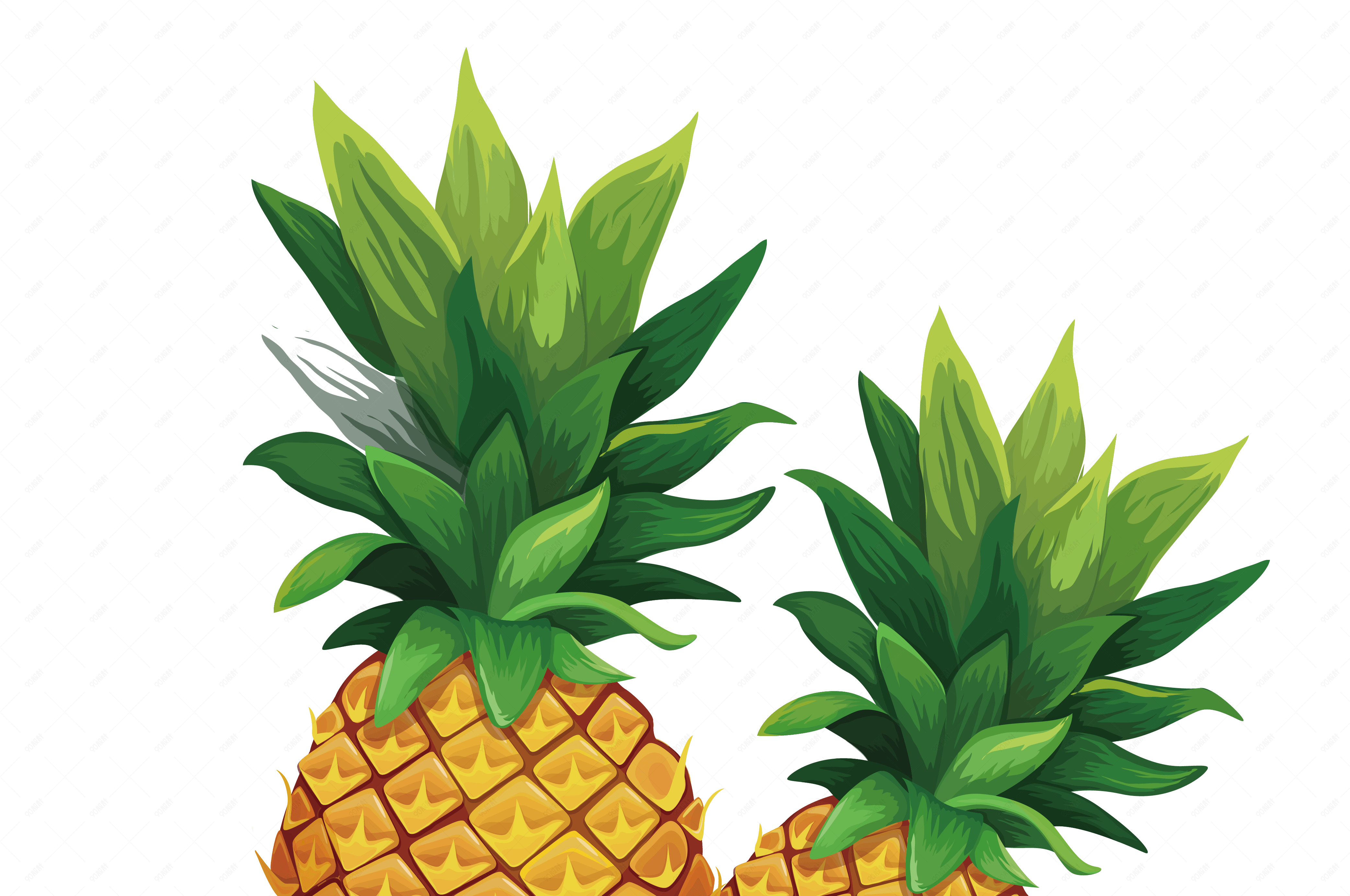 夏日矢量手绘菠萝凤梨素材