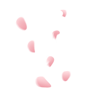 浪漫花瓣图片大全