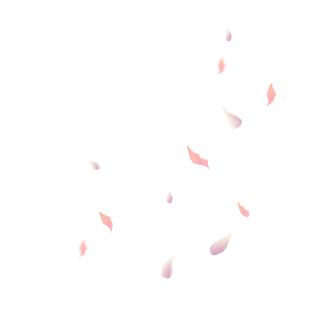 古风花瓣png图片大全_古风花瓣png图片素材【png免费下载】-90设计网