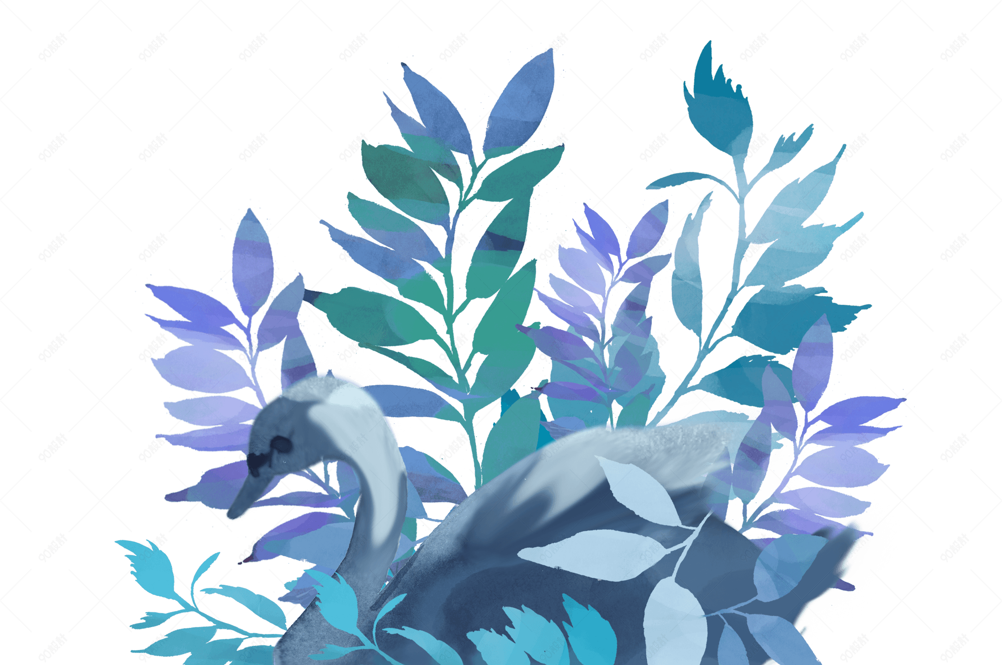 手绘水彩天鹅植物水中倒影